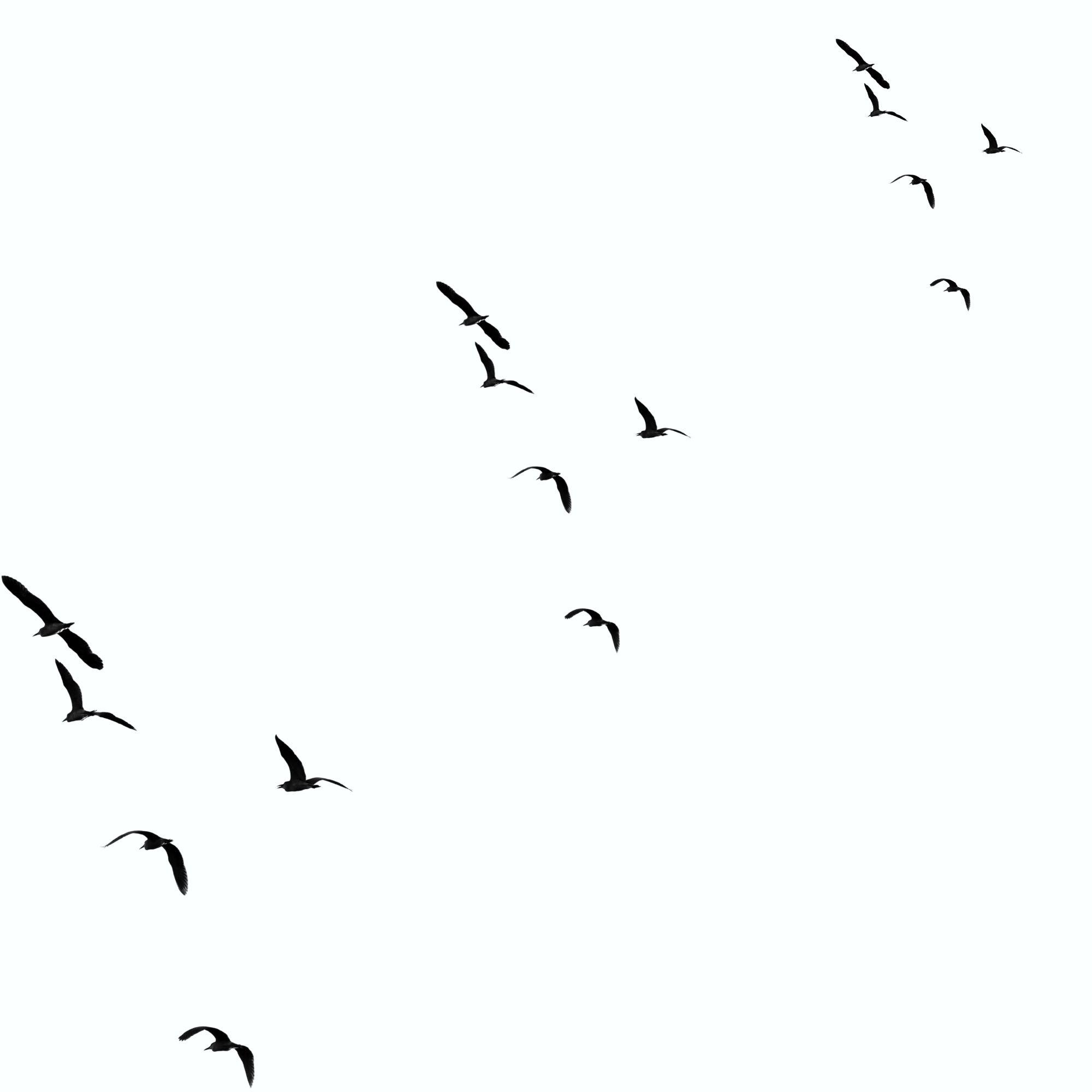 Let it Go